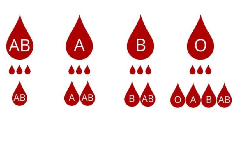Việc truyền máu giữa các nhóm máu cần tuân thủ nghiêm ngặt theo nguyên tắc truyền máu để tránh phản ứng nguy hiểm