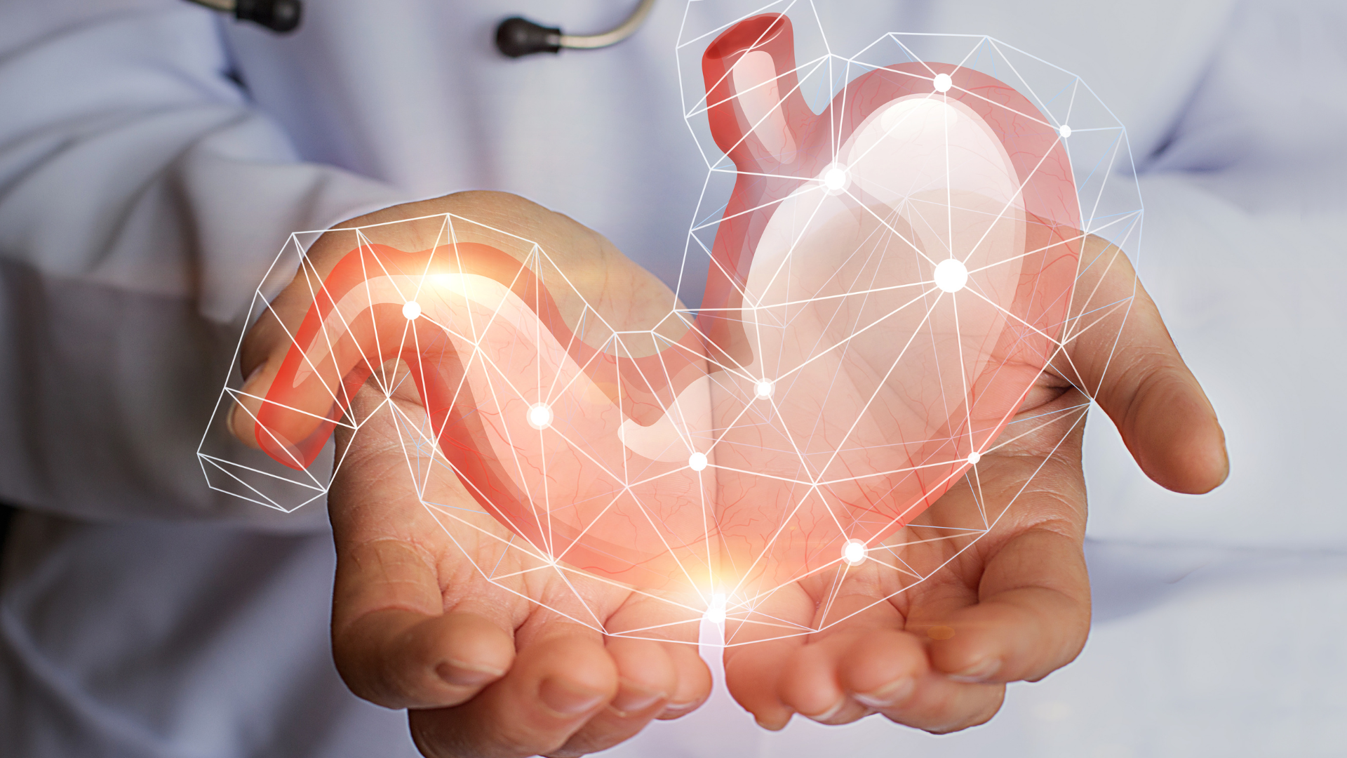 Dạ dày thực hiện tiêu hóa cơ học và hóa học