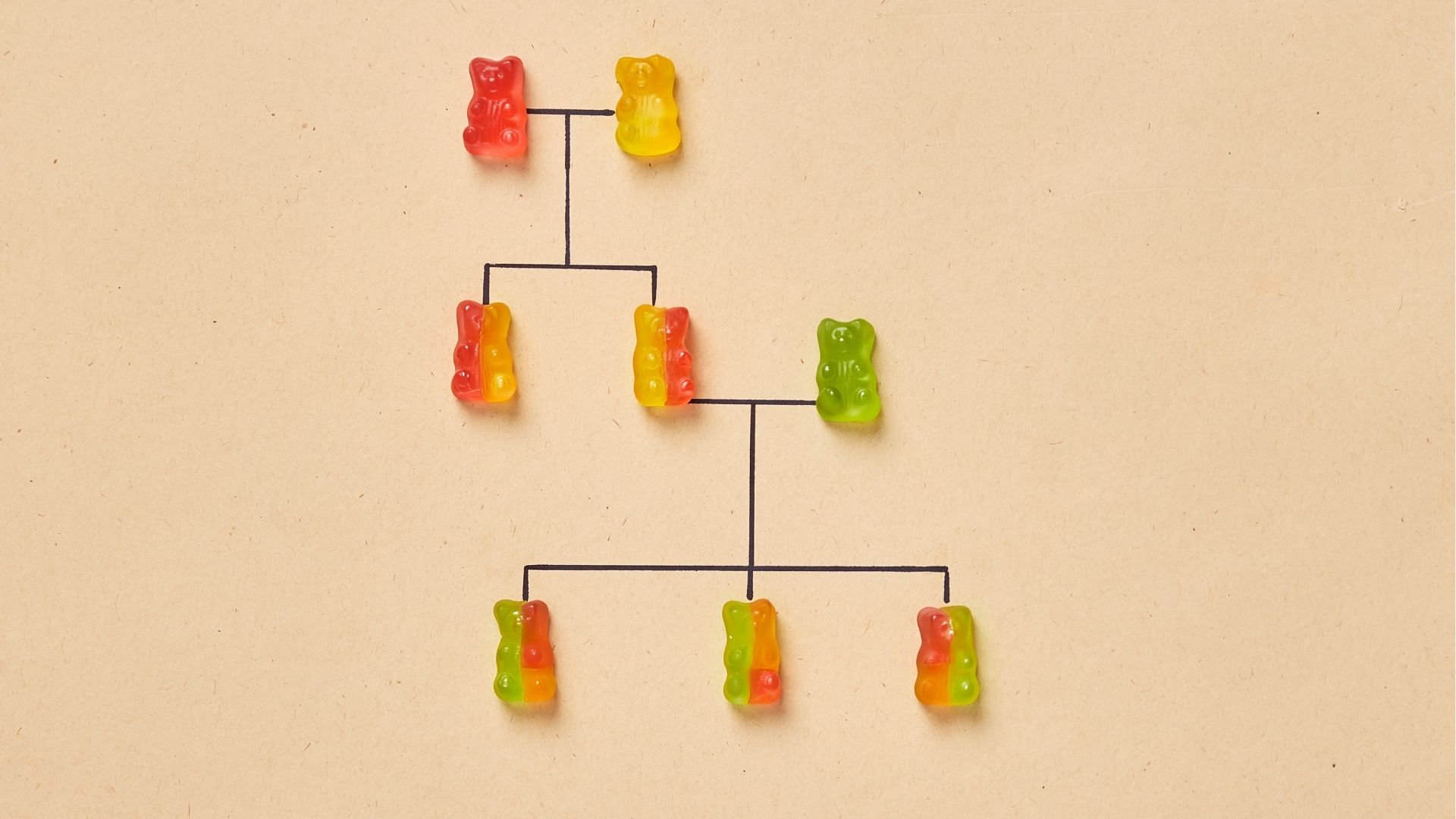 Hen phế quản có thể khởi phát do gen di truyền