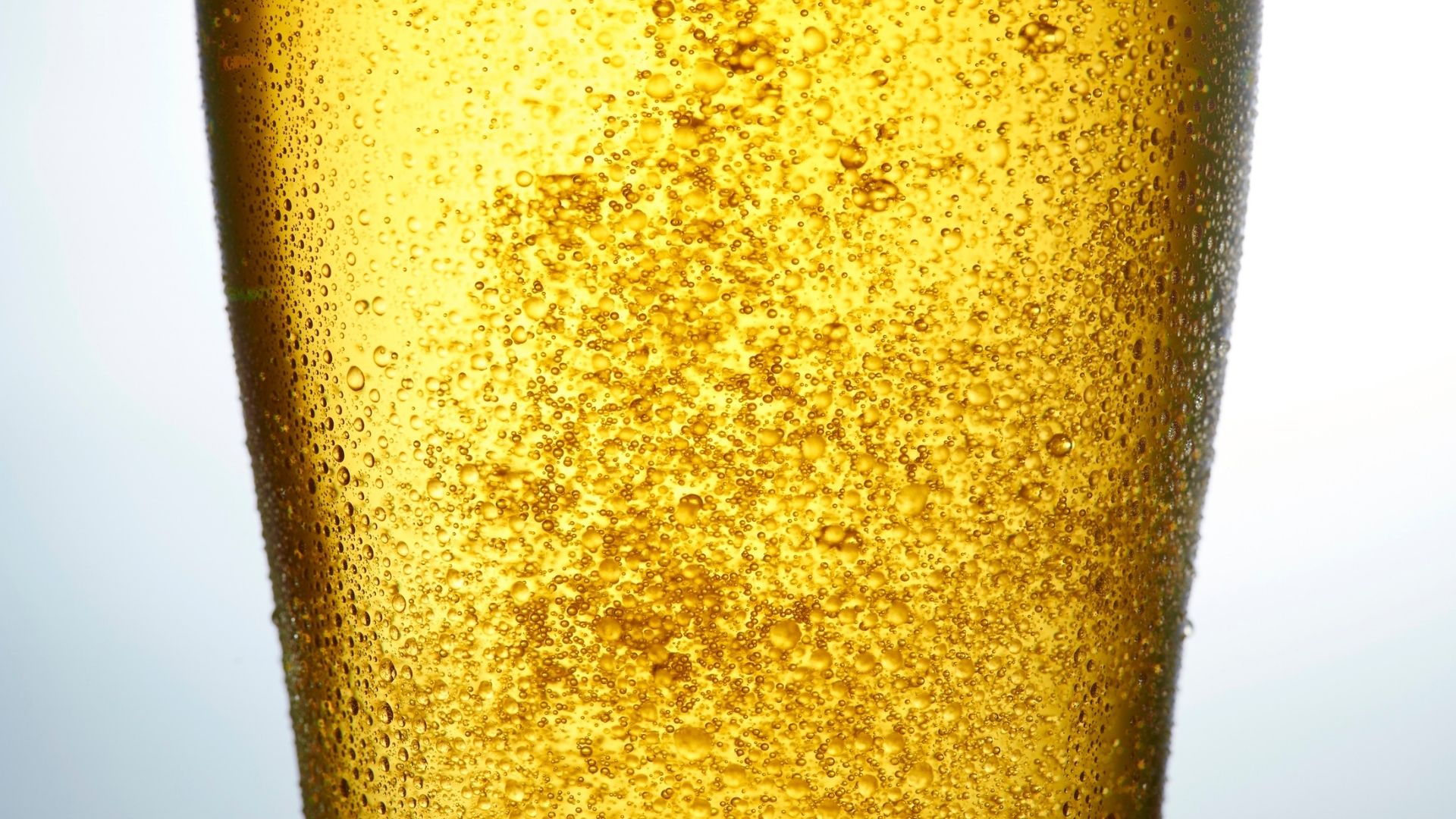 Rượu bia có thể ảnh hưởng tới chức năng sinh sản