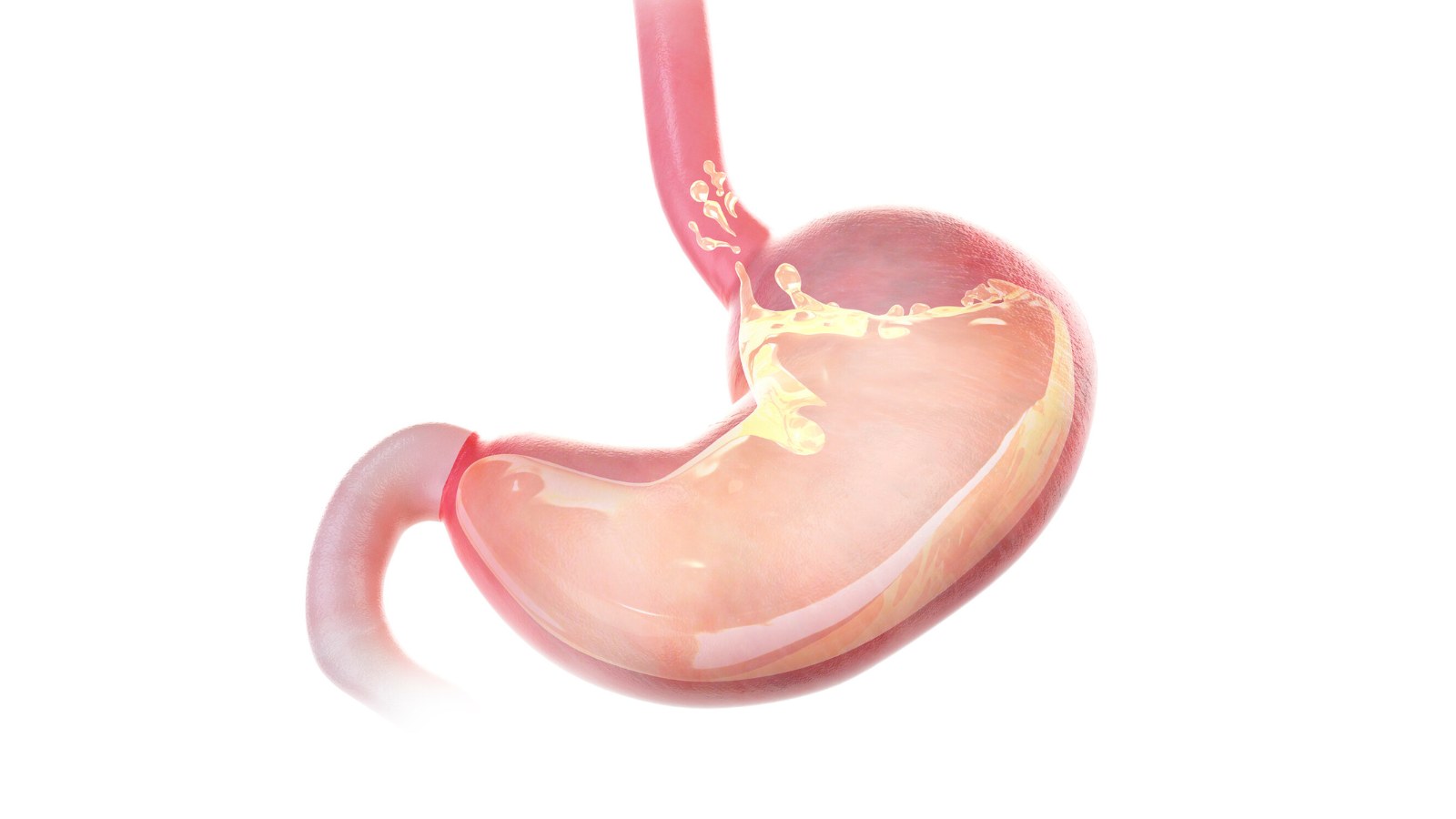 Hình ảnh niêm mạc dạ dày bình thường