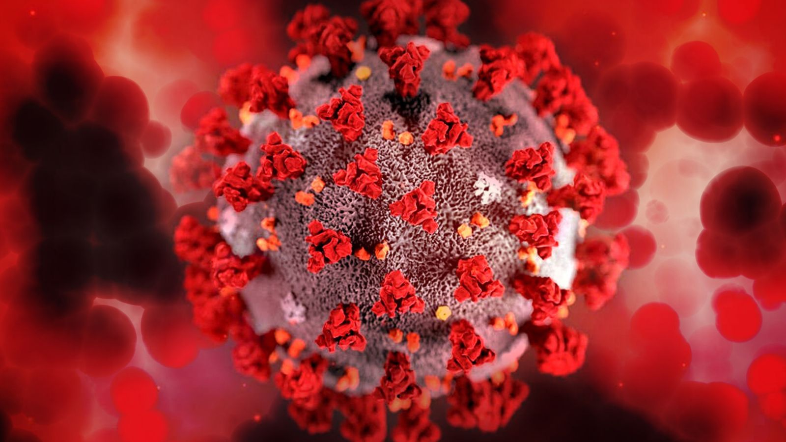 HIV-1 và HIV-2 tương đồng về đặc điểm gì?