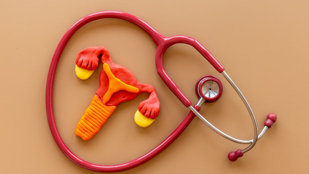 Hoàng thể là gì? Đây là một cấu trúc tạm thời trong buồng trứng, hình thành sau khi rụng trứng