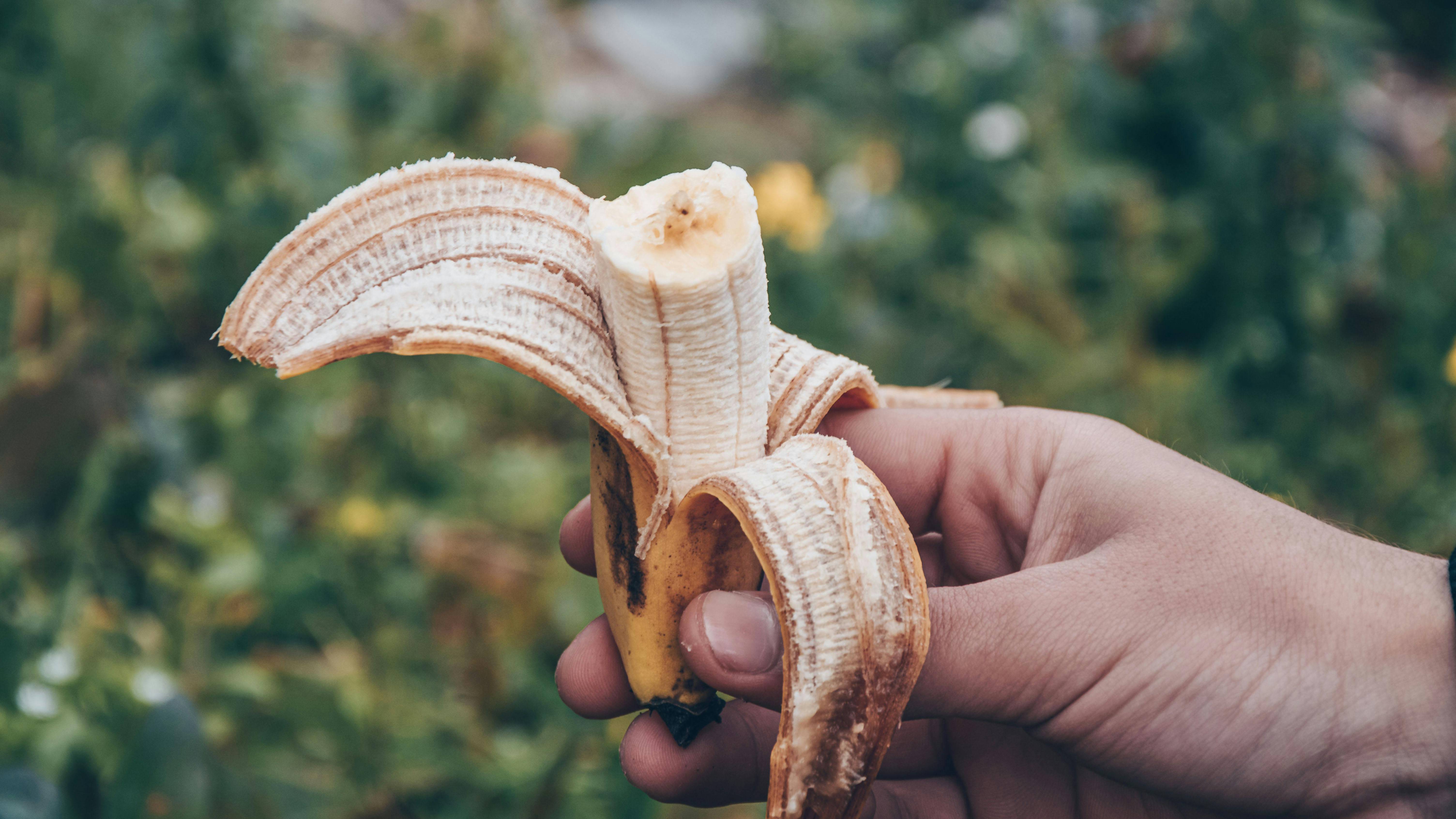 Không nên ăn chuối vì có thể khiến xương chuyển vị trí và cắm sâu vào lớp mô