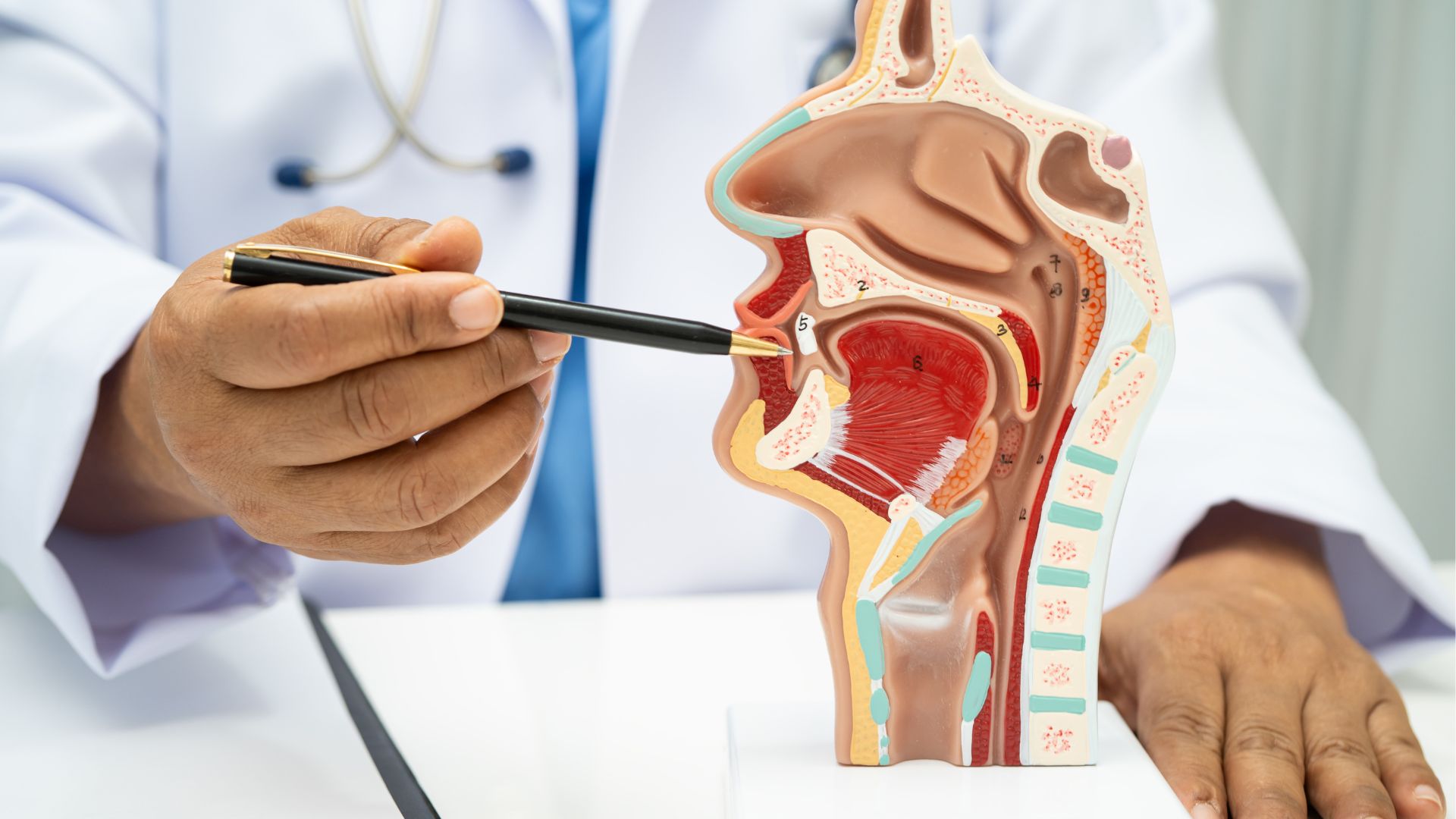 Dịch và khí từ dạ dày có thể đi ngược lên thực quản và gây mùi khó chịu