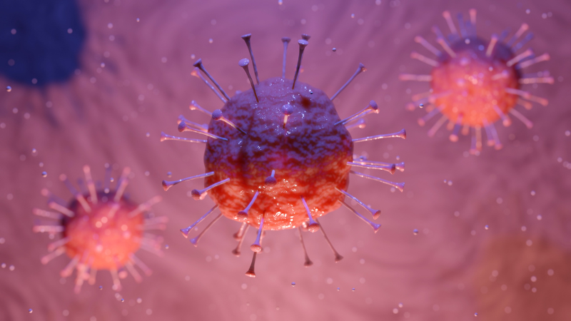 Hôn nhau có lây HPV không? Sự thật bạn nên biết sớm 1