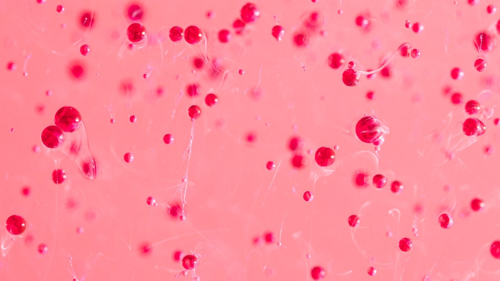 Hồng cầu nhỏ là tình trạng các tế bào hồng cầu có kích thước nhỏ hơn bình thường