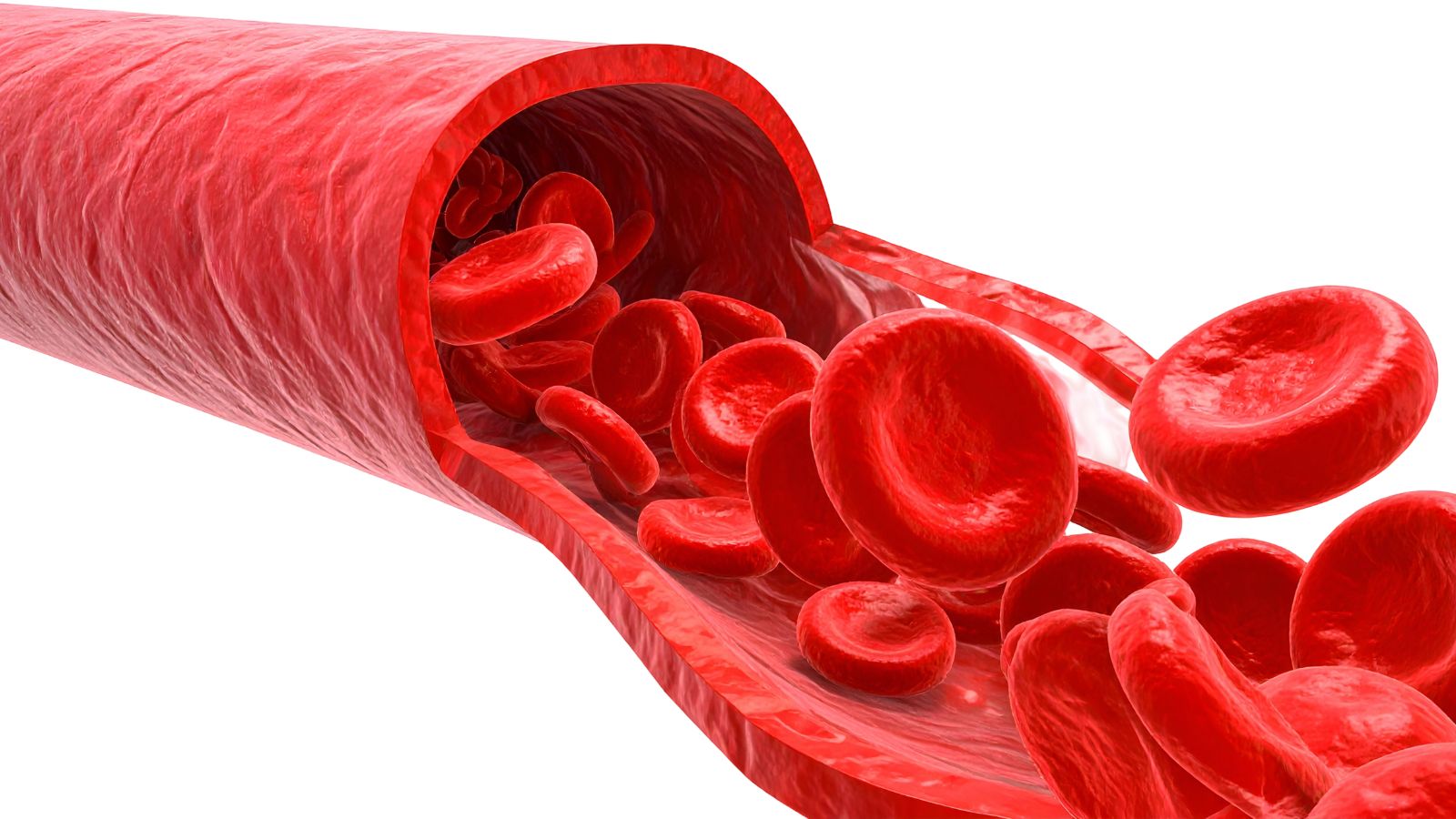 Hồng cầu là tế bào máu có nhiệm vụ vận chuyển oxy đi khắp cơ thể