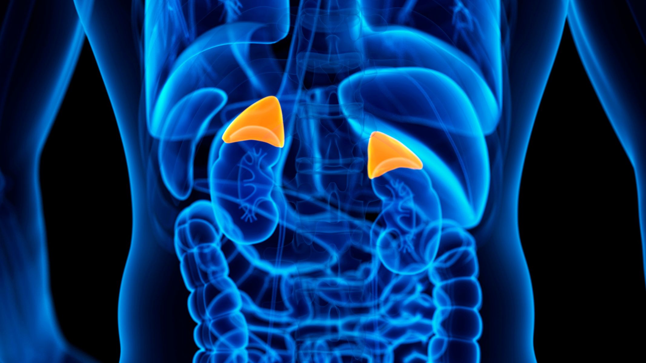 Hormone cortisol và những thông tin cần biết 1