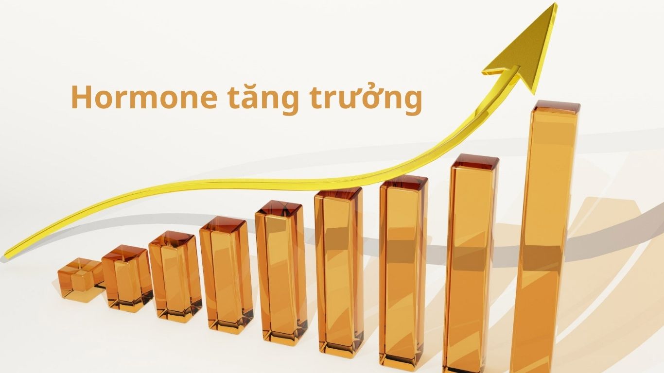 Hormone tăng trưởng là gì? Làm sao để kích thích hormone tăng trưởng? 2
