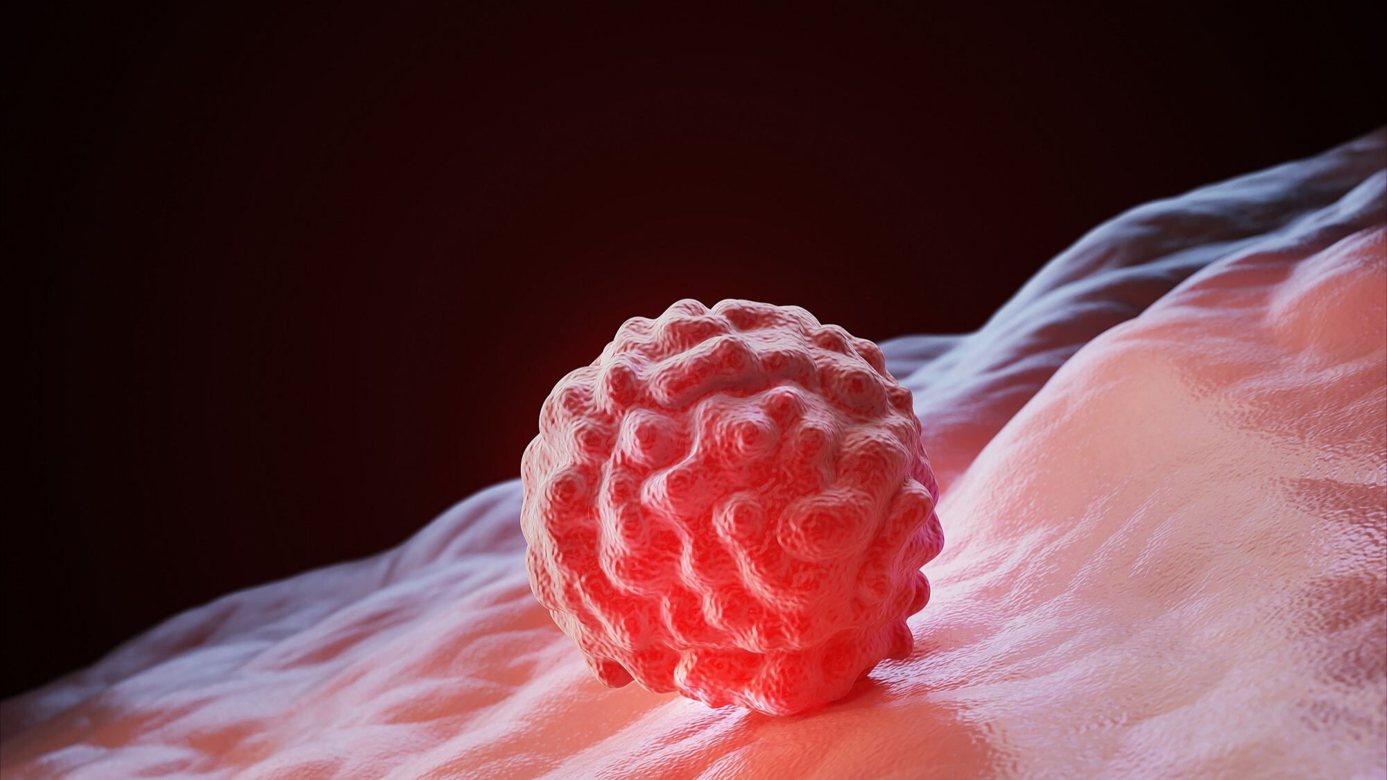 hpv-16-la-gi-co-nguy-co-gay-benh-gi 1.jpeg