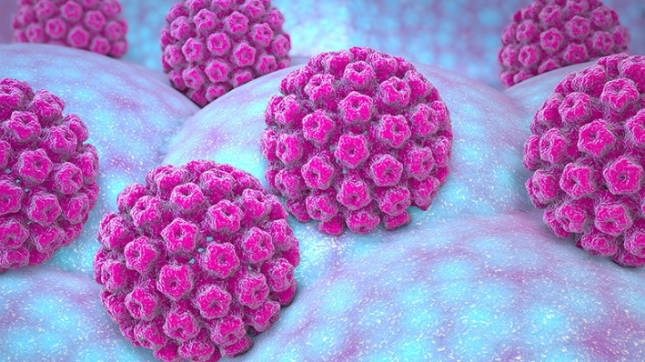 Virus HPV 45 là một trong 14 type virus HPV thuộc nhóm nguy cơ cao
