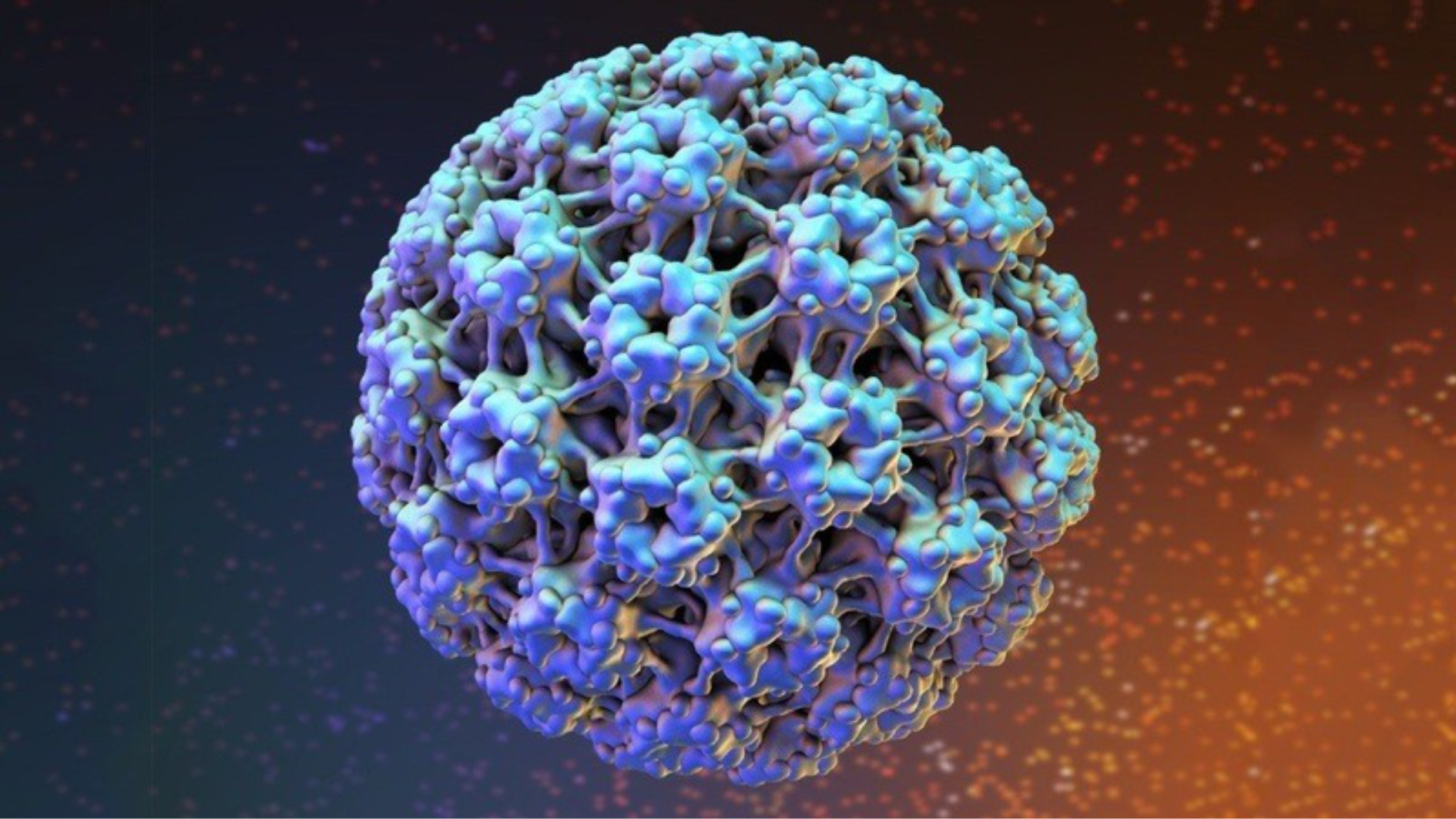 HPV type 6 là gì? Có nguy hiểm không?