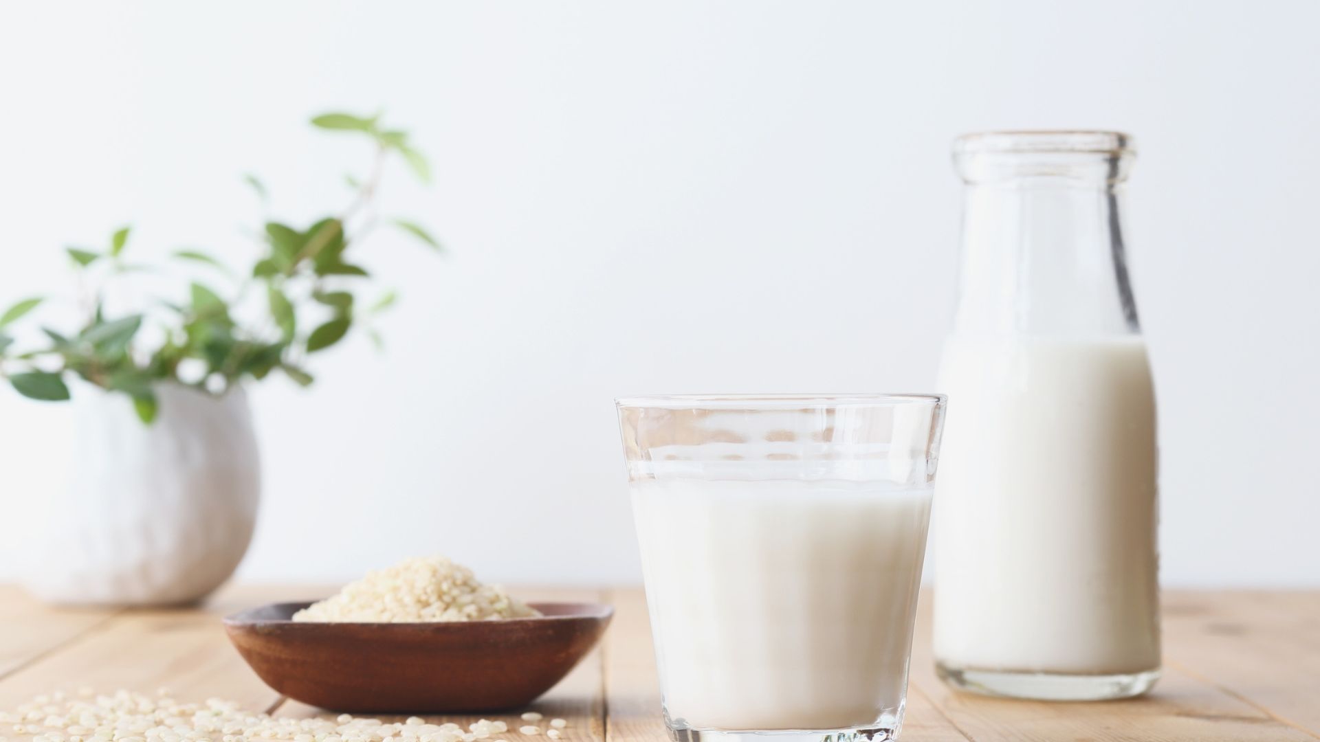 Người huyết áp thấp nên ưu tiên sử dụng các loại sữa dễ tiêu hoá