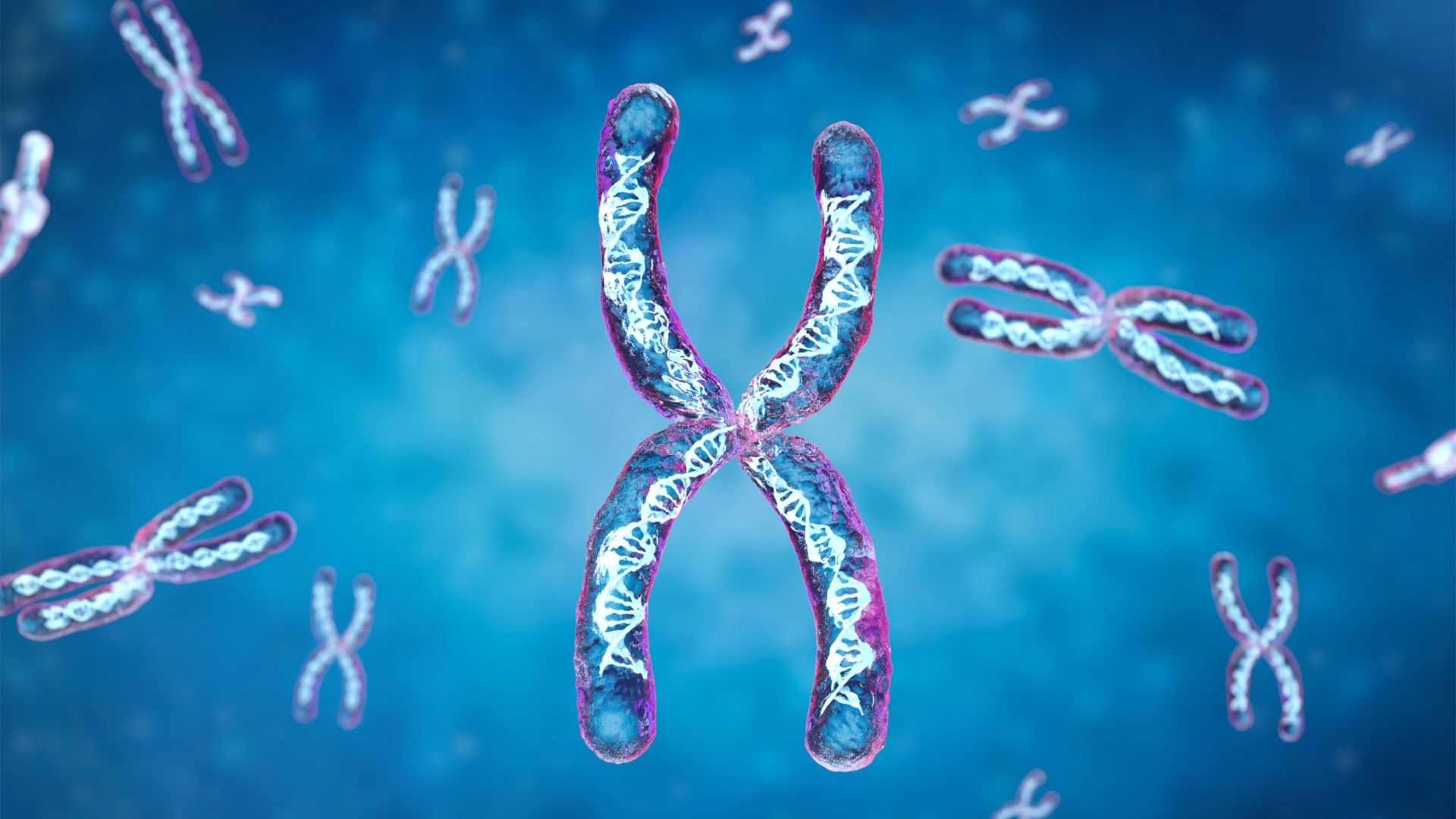 Kết quả Double test giúp đánh giá nguy cơ thai nhi có sự bất thường ở NST