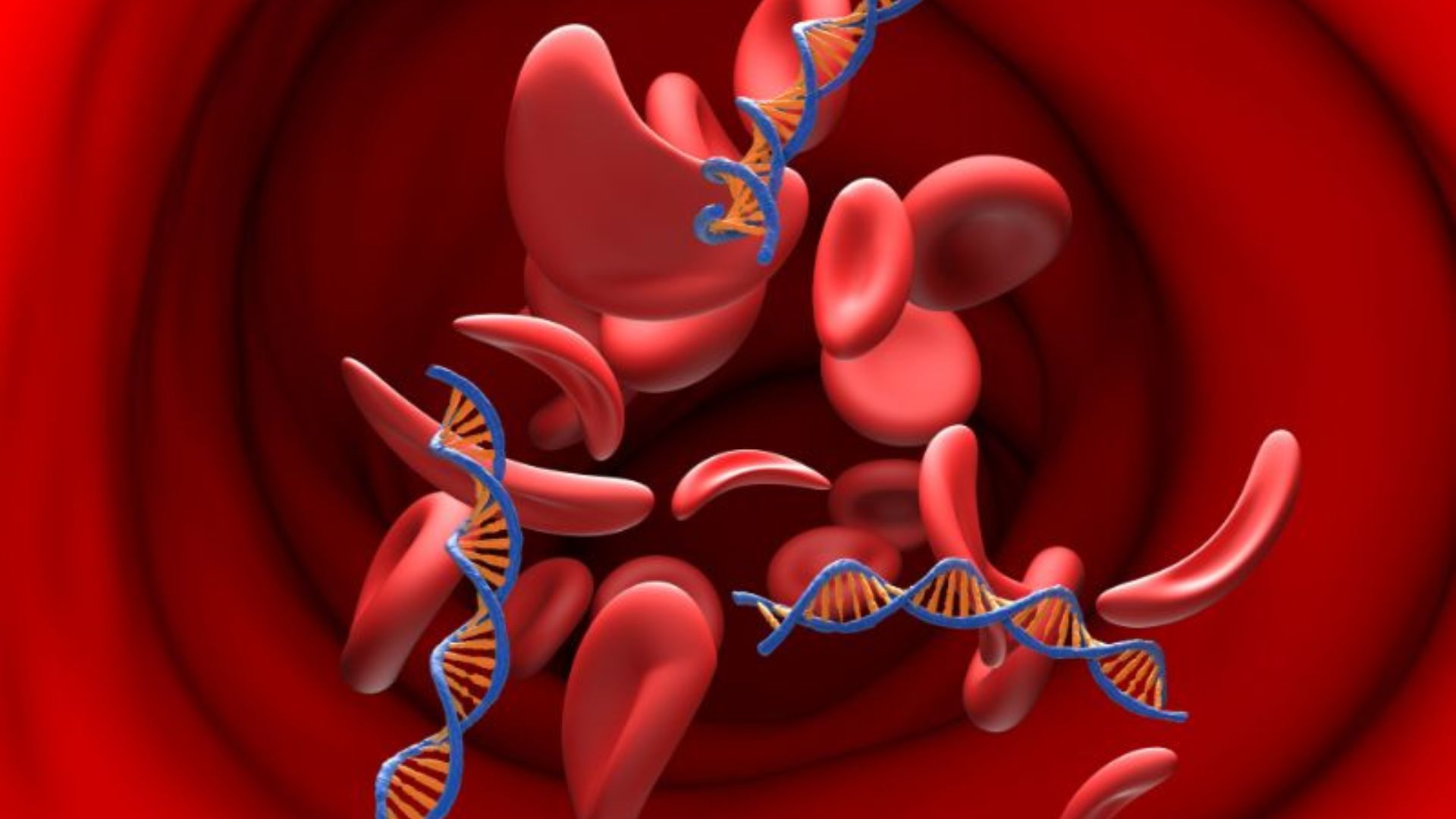 Kết quả xét nghiệm NIPT có thể bị ảnh hưởng nếu tỷ lệ ADN thai nhi trong máu mẹ thấp