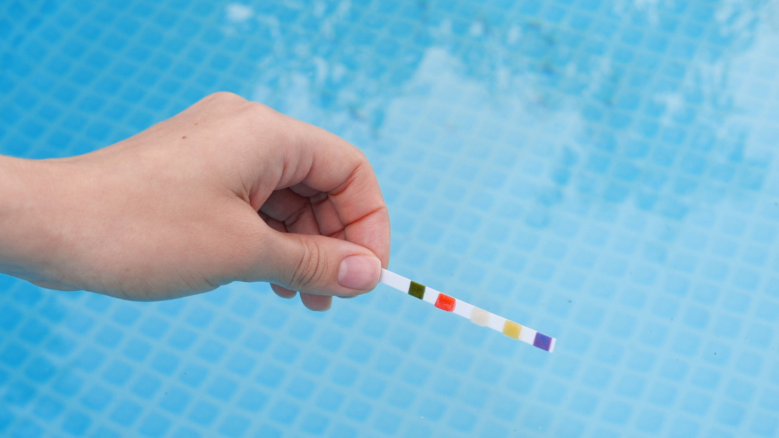 Nhóm chỉ số đại thể giúp đánh giá môi trường tinh dịch và khả năng bảo vệ tinh trùng