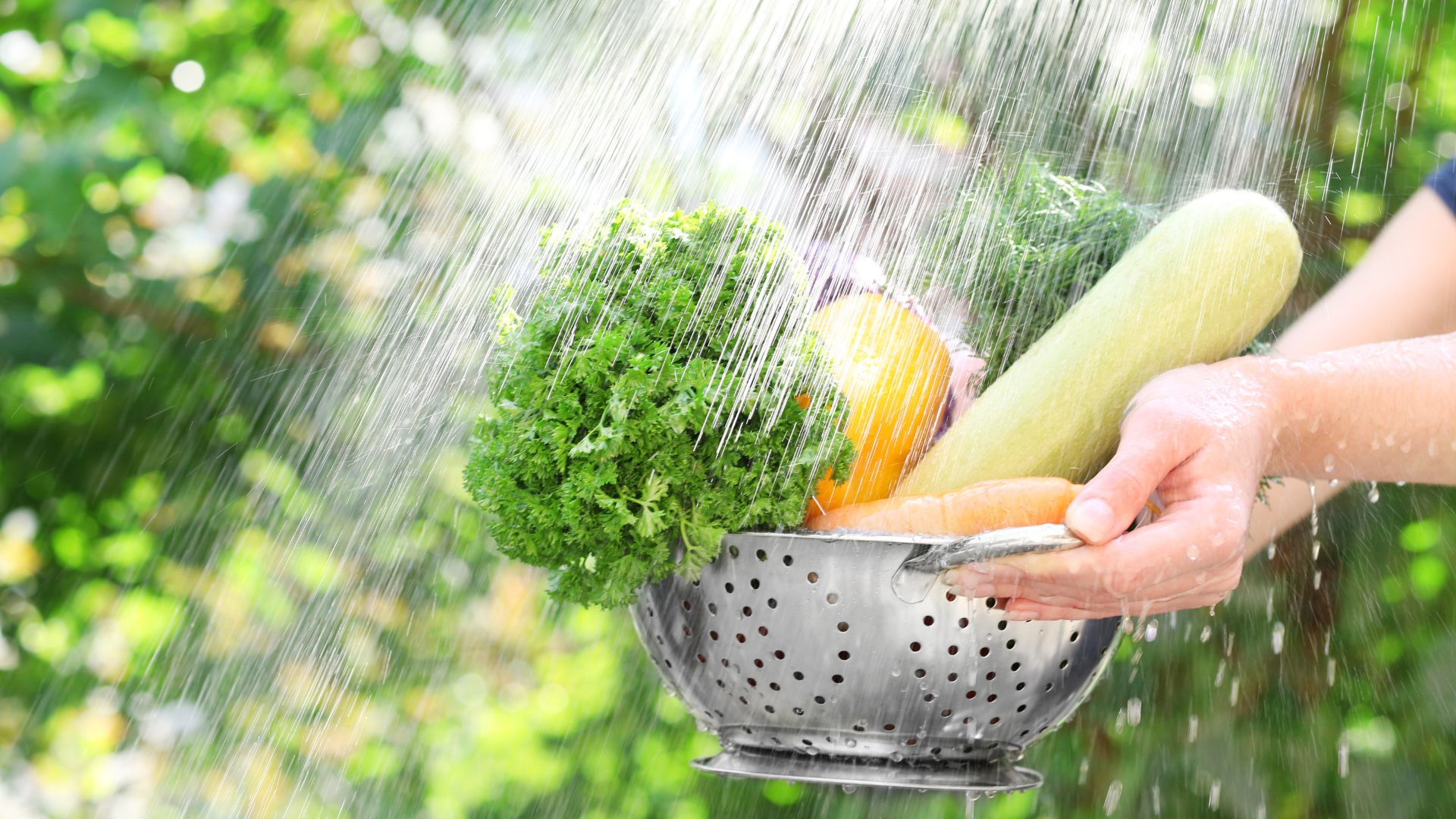 Khám phá 5 công dụng của xà lách xoong đối với sức khỏe 3