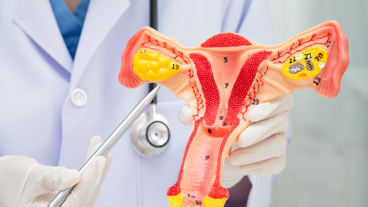 Kiểm tra chức năng sinh sản ở nam giới