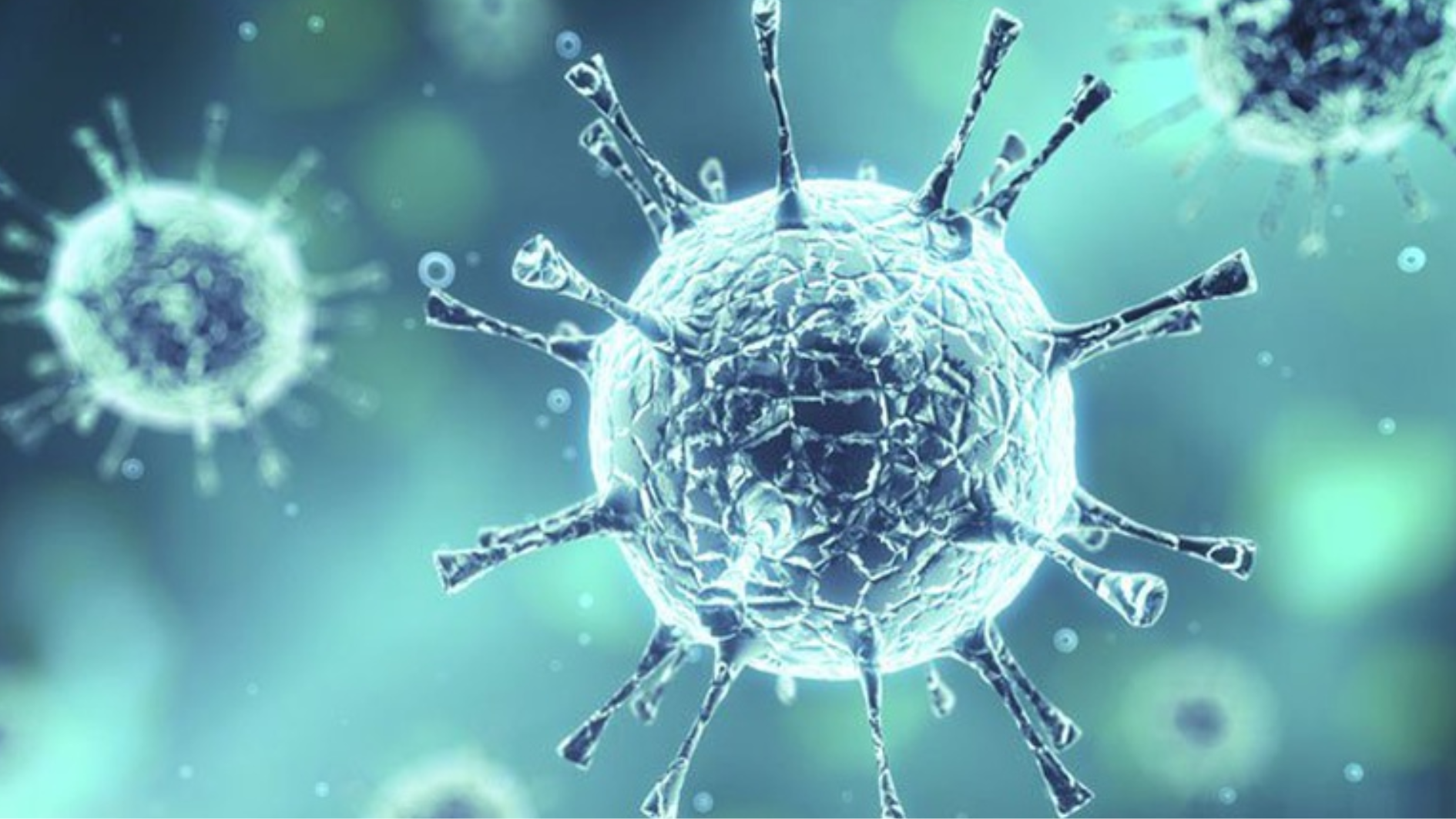 khang-nguyen-la-gi-co-vai-tro-nhu-the-nao-trong-he-mien-dich (4).png