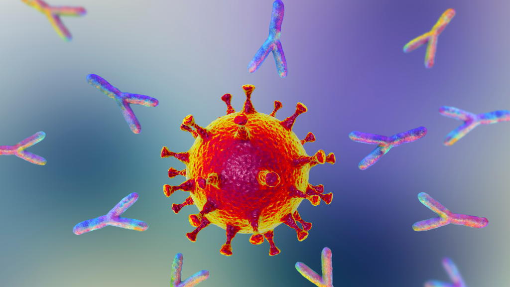 Hiện nay, các nhà khoa học xác định có 5 loại kháng thể chính