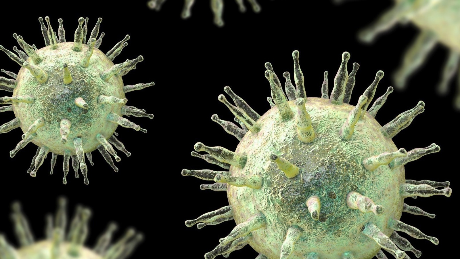 Kháng thể EBV là những kháng thể mà cơ thể tạo ra khi tiếp xúc với virus EBV