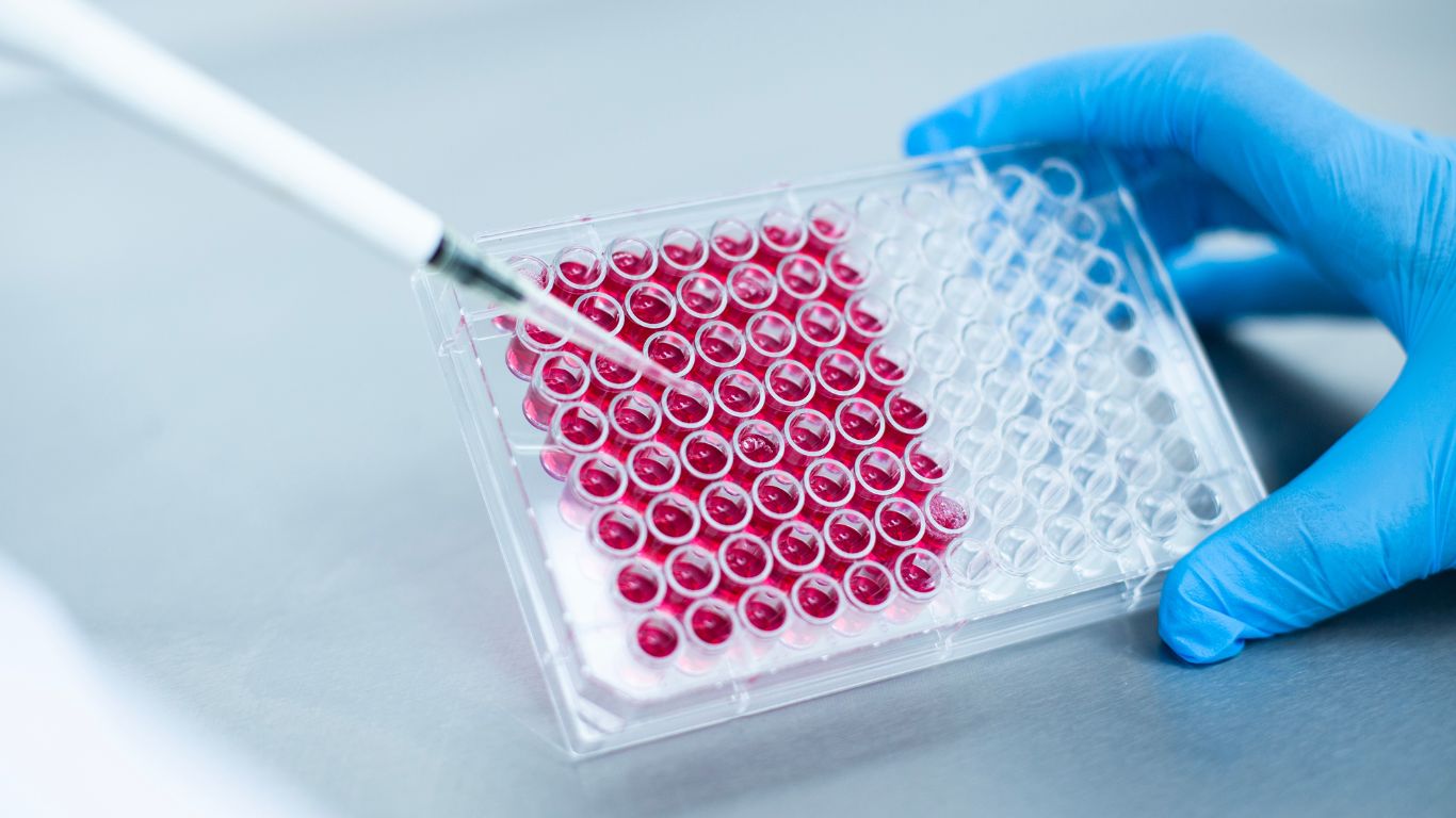 khang-the-viem-gan-b-bao-nhieu-la-du 2