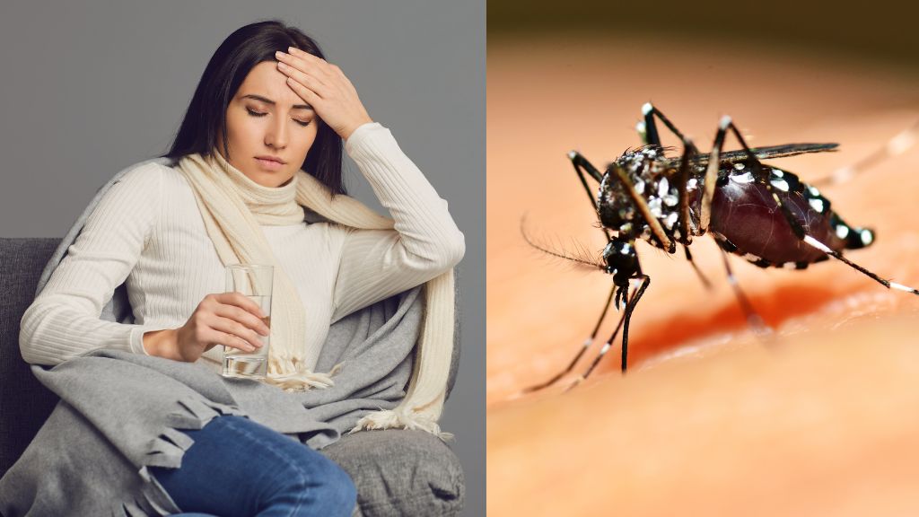 khi-nao-thi-biet-da-khoi-sot-xuat-huyet-cach-phuc-hoi-benh-khoa-hoc-thumbnail (1).jpg