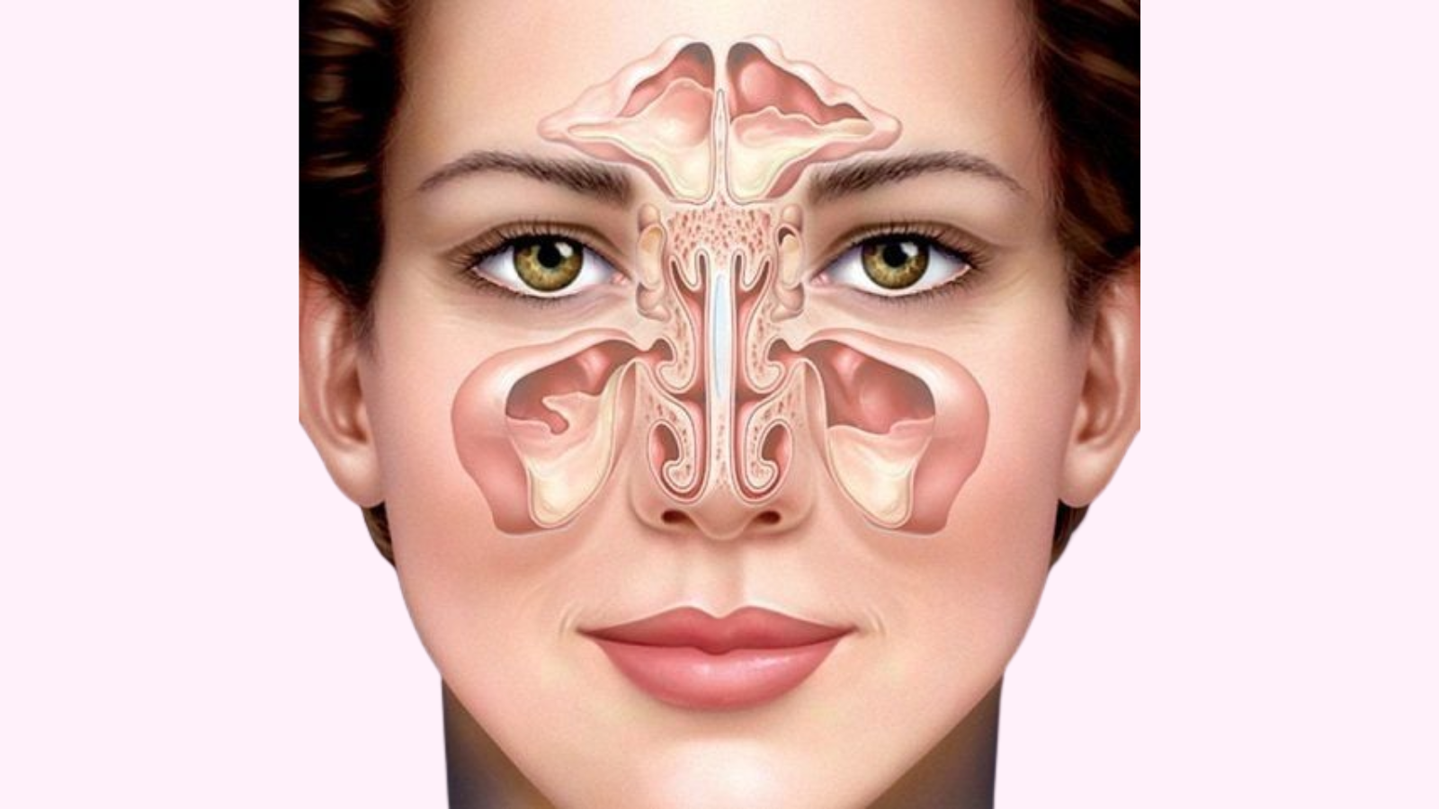 Cấu tạo của mũi gồm 3 phần: Mũi ngoài, mũi trong và xoang cạnh mũi