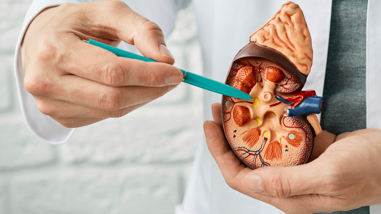 Vị trí của viên sỏi cũng ảnh hưởng đáng kể đến khả năng tự thoát ra ngoài