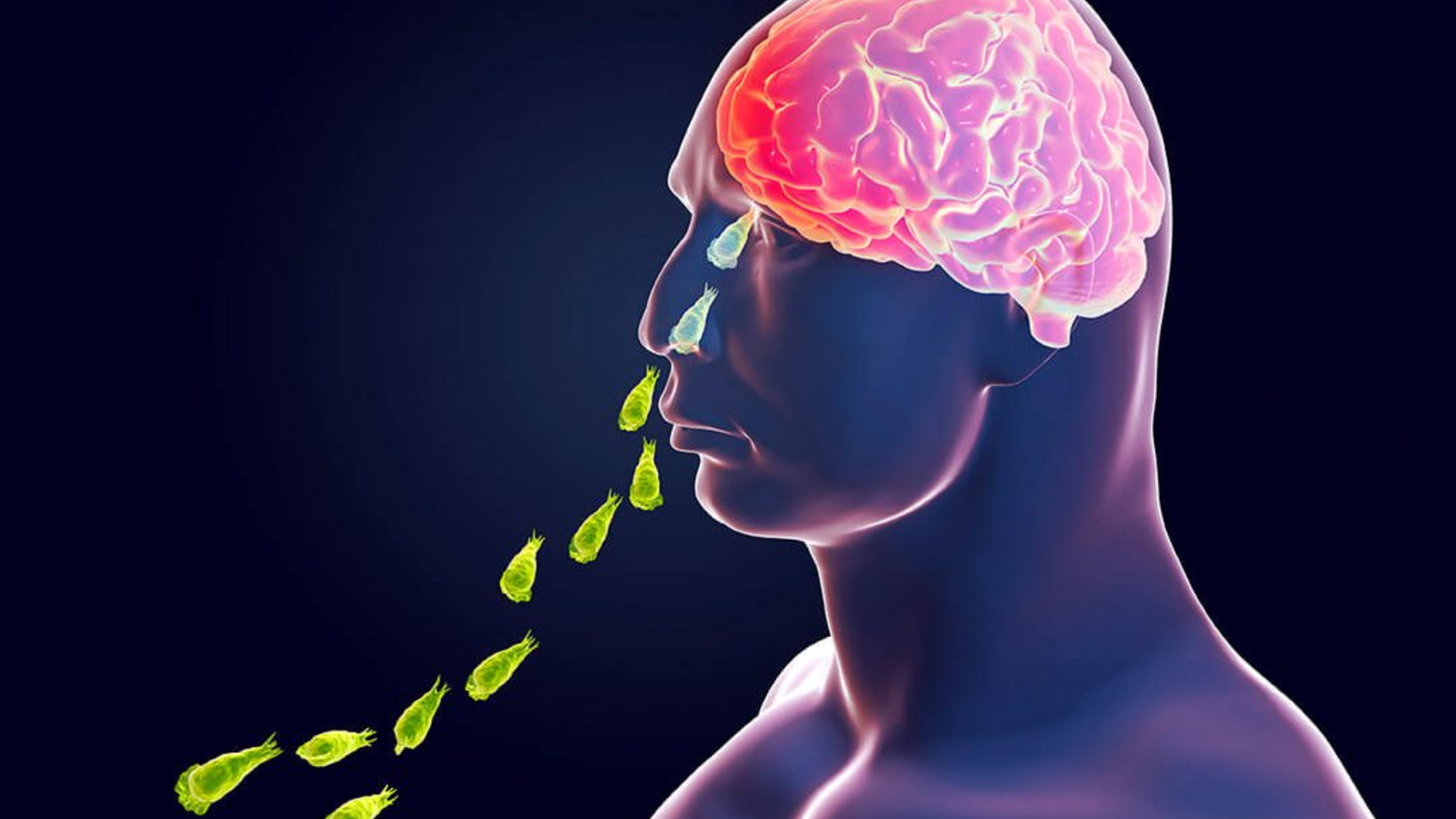 Hoạt động dưới nước ở hồ sông mùa nóng, đặc biệt khi khuấy bùn, có thể làm tăng nguy cơ nhiễm N. fowleri