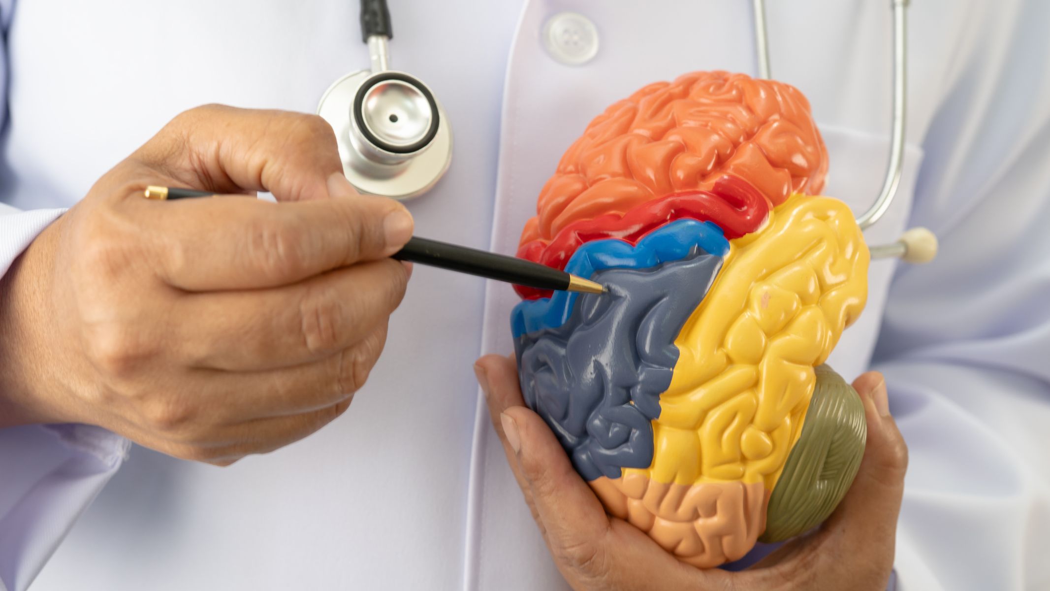 Lá hẹ chứa choline, một dưỡng chất quan trọng tham gia vào cấu trúc màng tế bào và hoạt động dẫn truyền thần kinh