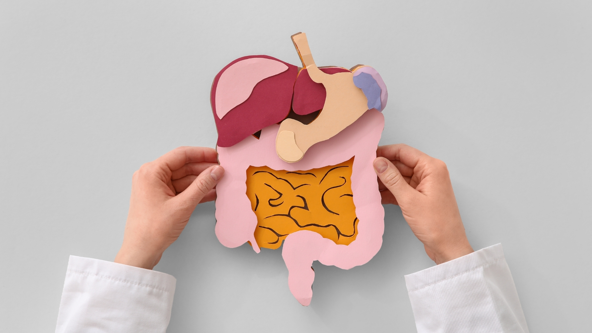 Llá hẹ xào trứng có tác dụng gì? Món này được cho là có thể hỗ trợ hoạt động của hệ tiêu hóa