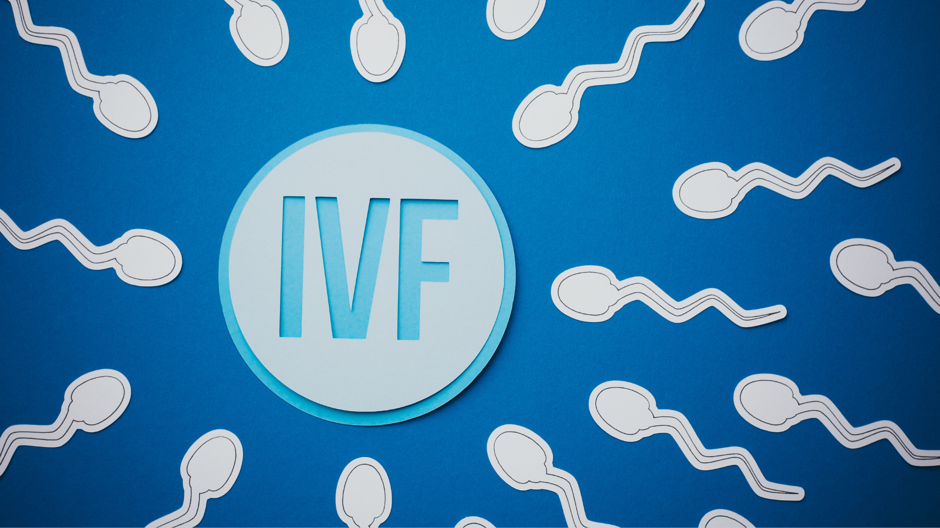 Thụ tinh và nuôi cấy phôi là bước quan trọng