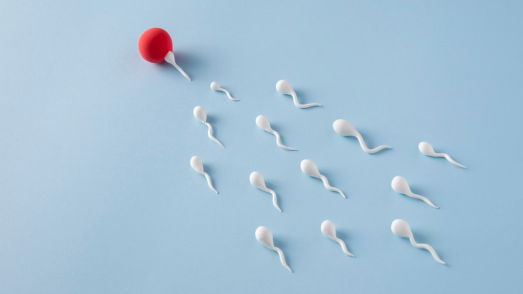 Làm sao để biết tinh trùng đã vào tử cung? 1