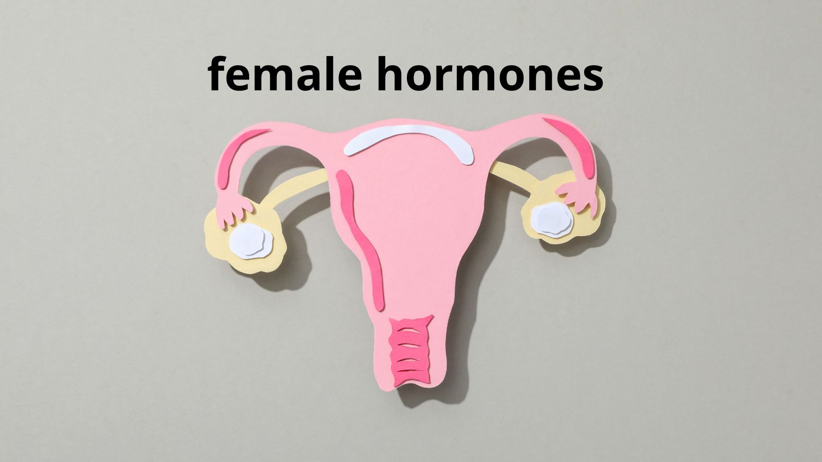 Nội tiết tố nữ kích thích tiết dịch âm đạo, tăng ham muốn và giúp chuyện quan hệ trở nên thoải mái hơn