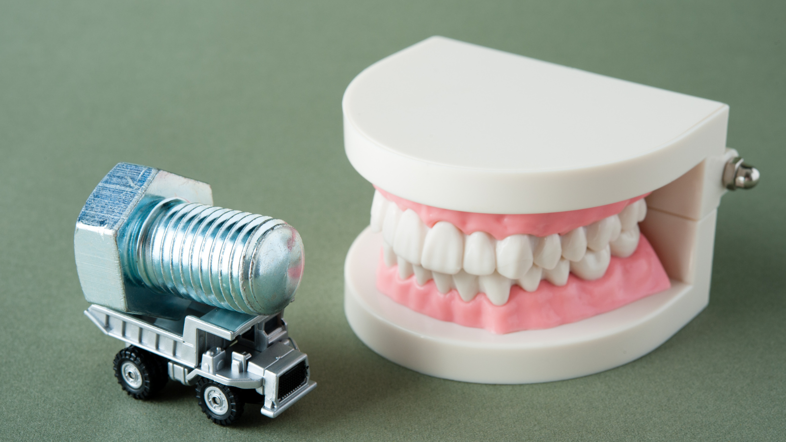 Vị trí và cấu trúc giải phẫu của răng