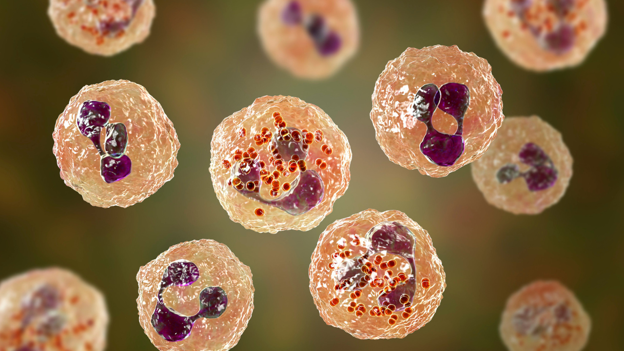 lich-tiem-vac-xin-viem-mang-nao-mo-cau-bc (3).png