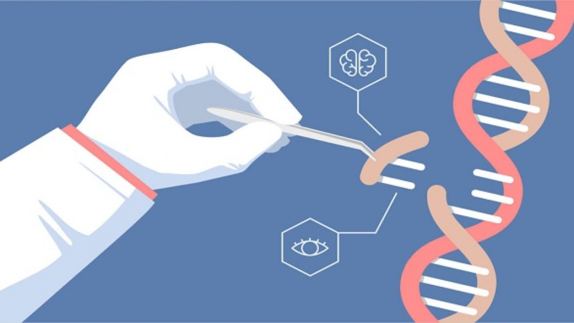 Công nghệ CRISPR bùng nổ tạo bước ngoặt lớn cho chỉnh sửa gen chính xác và ứng dụng trong liệu pháp y học
