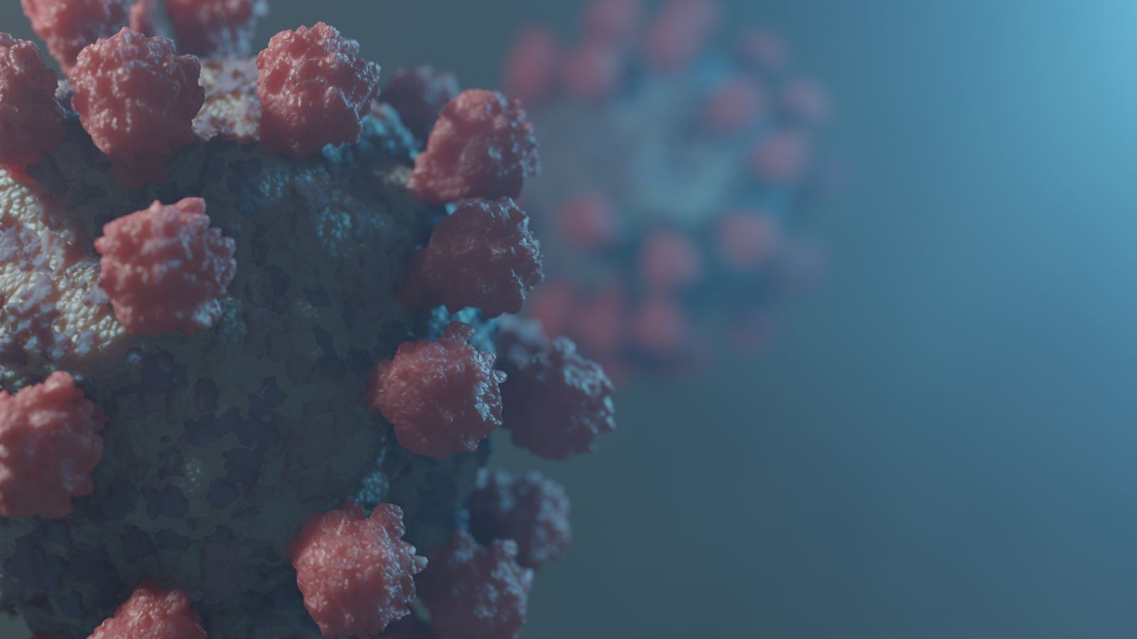 lieu-rang-virus-hpv-song-ben-ngoai-bao-lau-3