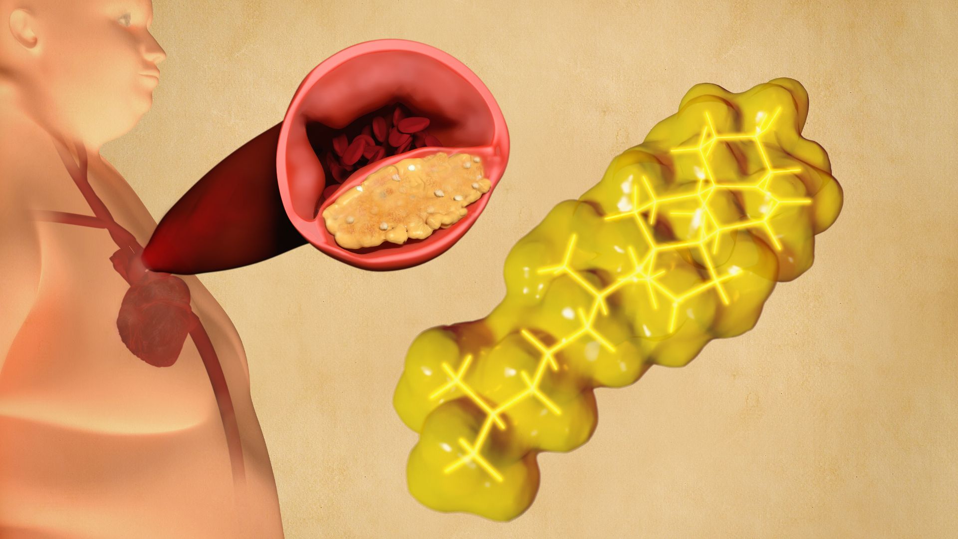 Lipoprotein(a) là một dạng lipoprotein đặc biệt có mặt trong máu, chủ yếu được quyết định bởi yếu tố di truyền và ít bị ảnh hưởng bởi chế độ ăn uống