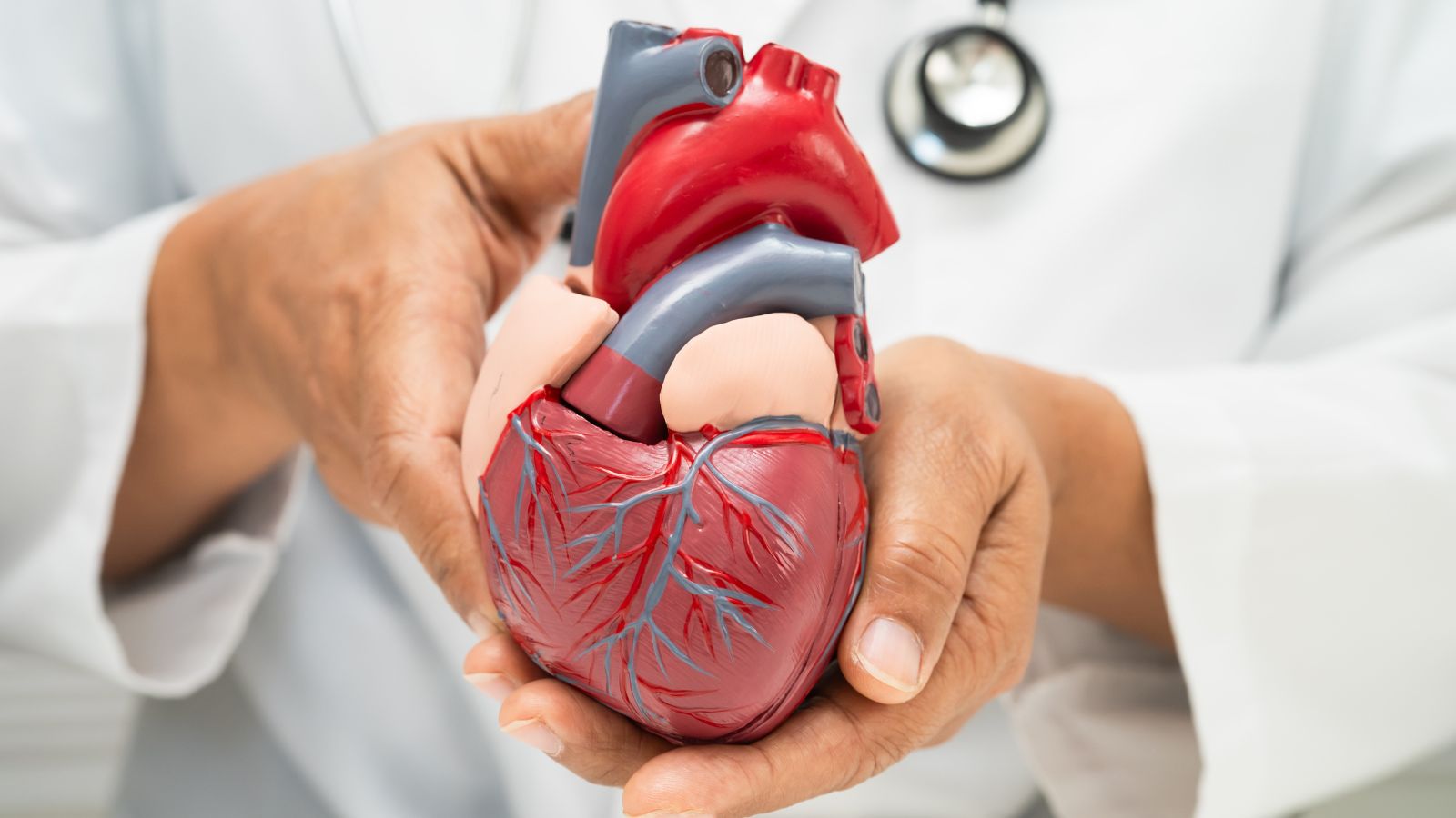 Chế độ ăn giàu đạm thực vật giúp giảm nguy cơ xơ vữa động mạch, ổn định huyết áp và bảo vệ sức khỏe tim mạch