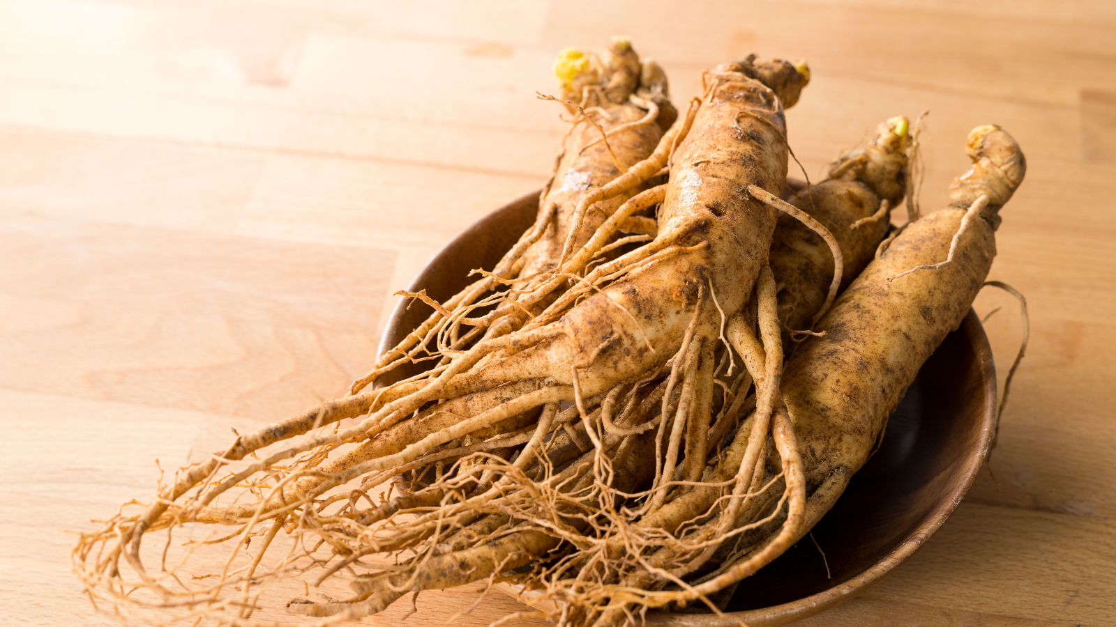 Lựa chọn sâm đủ 6 năm tuổi để đảm bảo hàm lượng Saponin cao cho sức khỏe