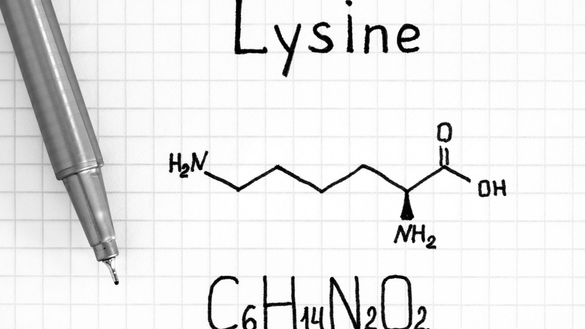 Lysine tham gia chuyển hóa chất béo, hỗ trợ vận chuyển năng lượng cho hoạt động hằng ngày