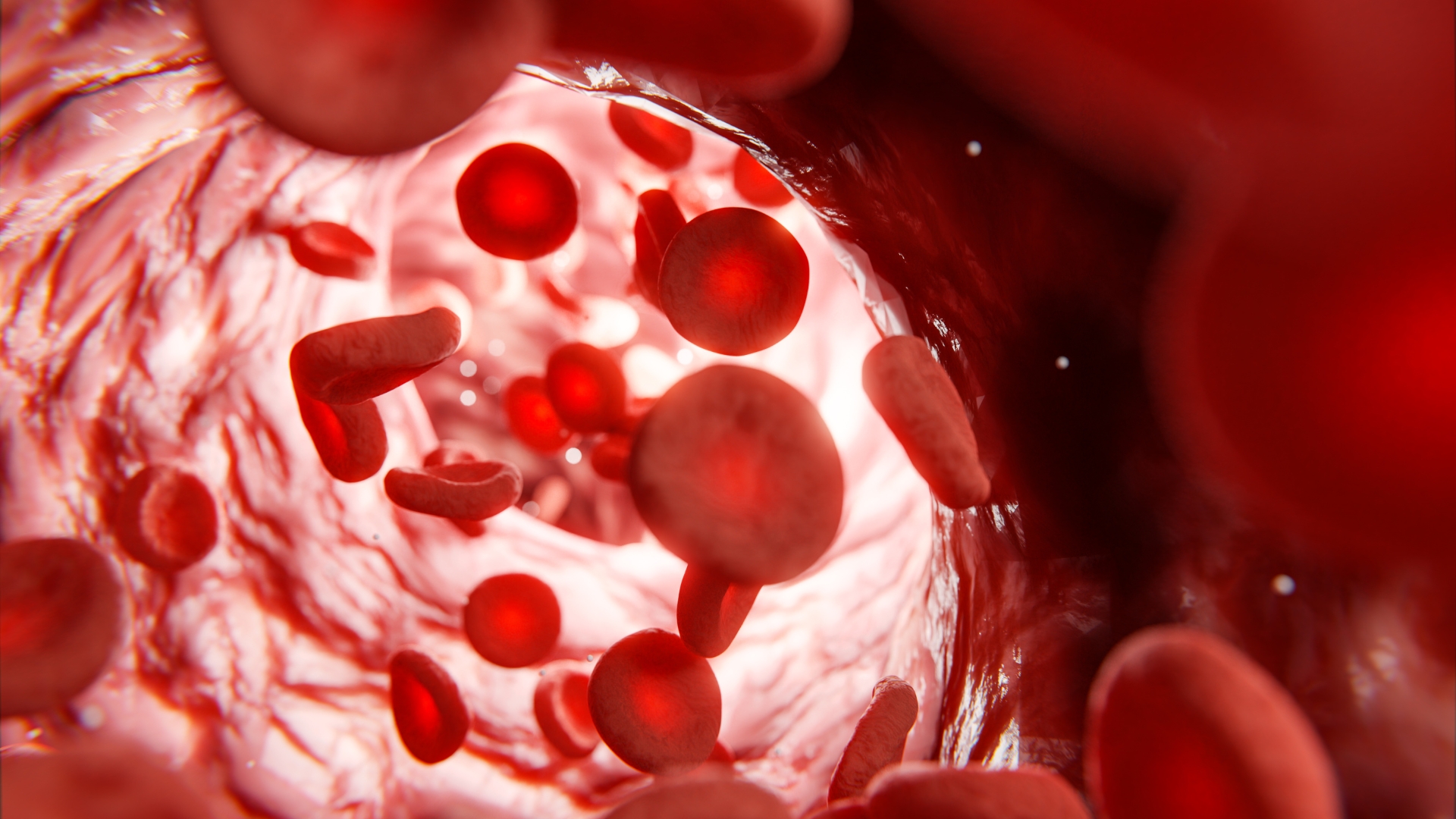 Hệ mạch nào có vai trò vô cùng quan trọng trong việc duy trì hoạt động của toàn bộ hệ thần kinh