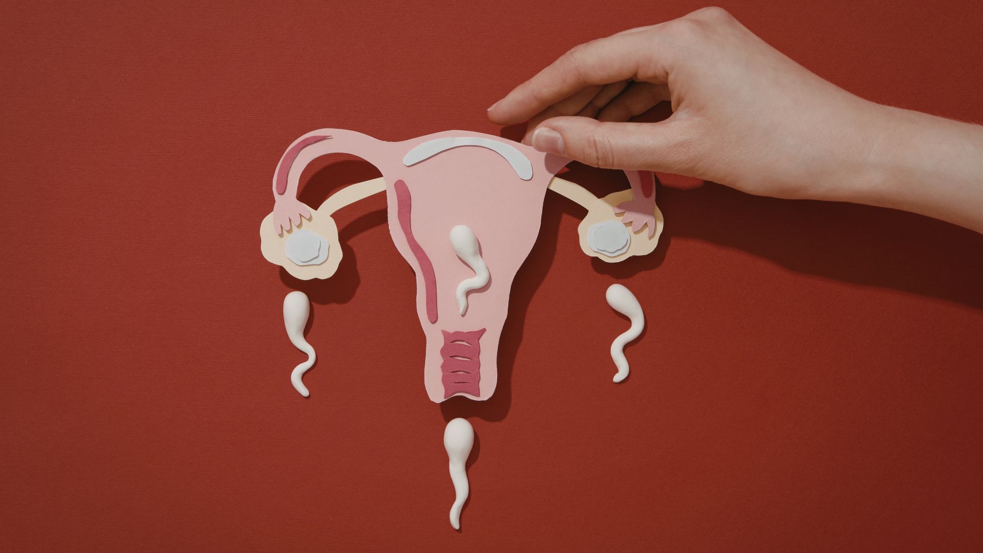 Mãn kinh ở tuổi 30 có thể tác động trực tiếp đến sức khỏe sinh sản