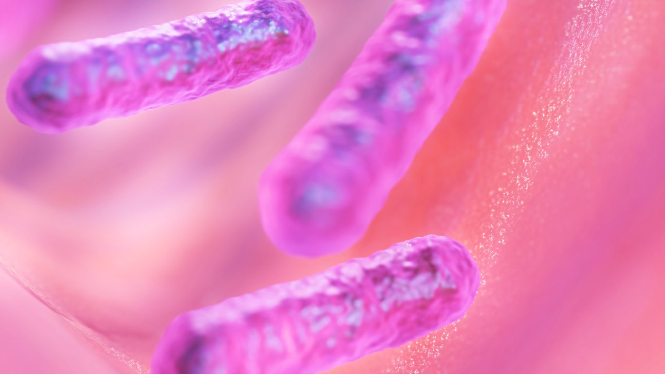 mang-bau-an-nem-chua-duoc-khong 2