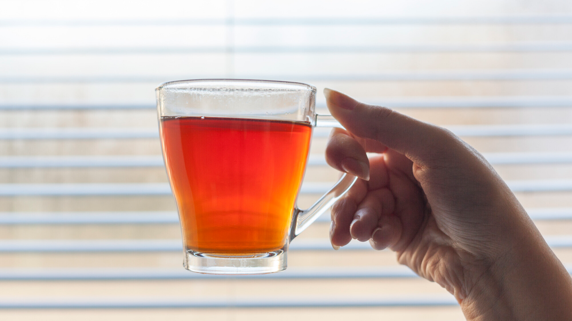 Phụ nữ mang thai trong 3 tháng đầu hoàn toàn có thể sử dụng trà bí đao với lượng vừa phải