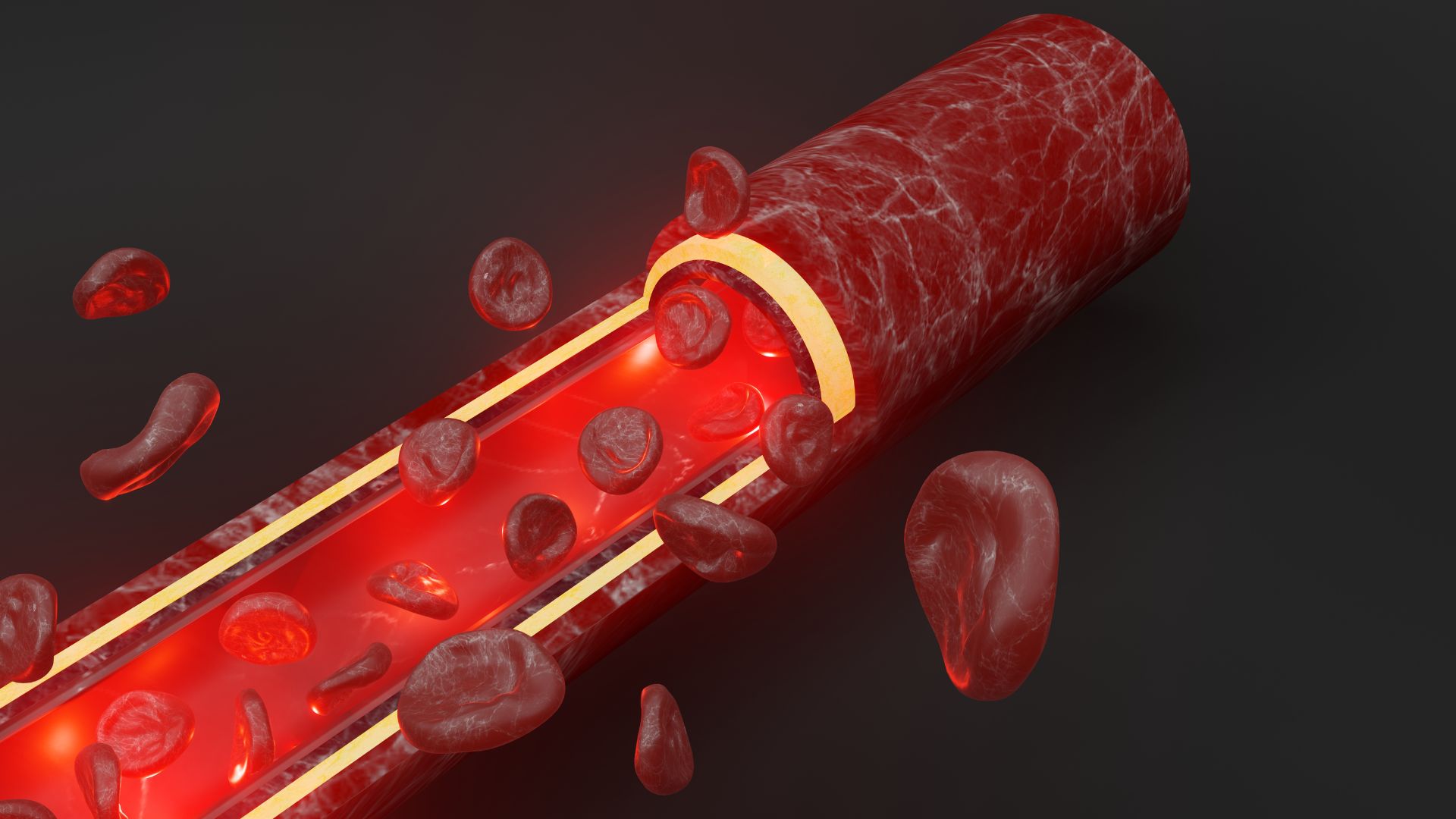 Mao mạch có đường kính chỉ khoảng từ 5 - 10µm
