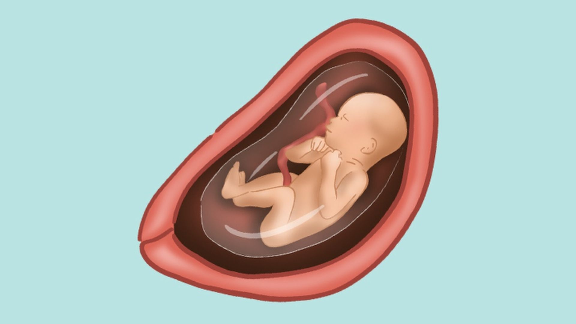 Mất ngủ đầu thai kỳ có thể tác động đến sự phát triển của thai nhi